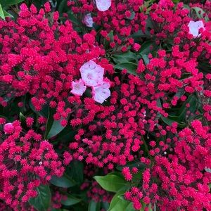 Meet your Posher, Margo